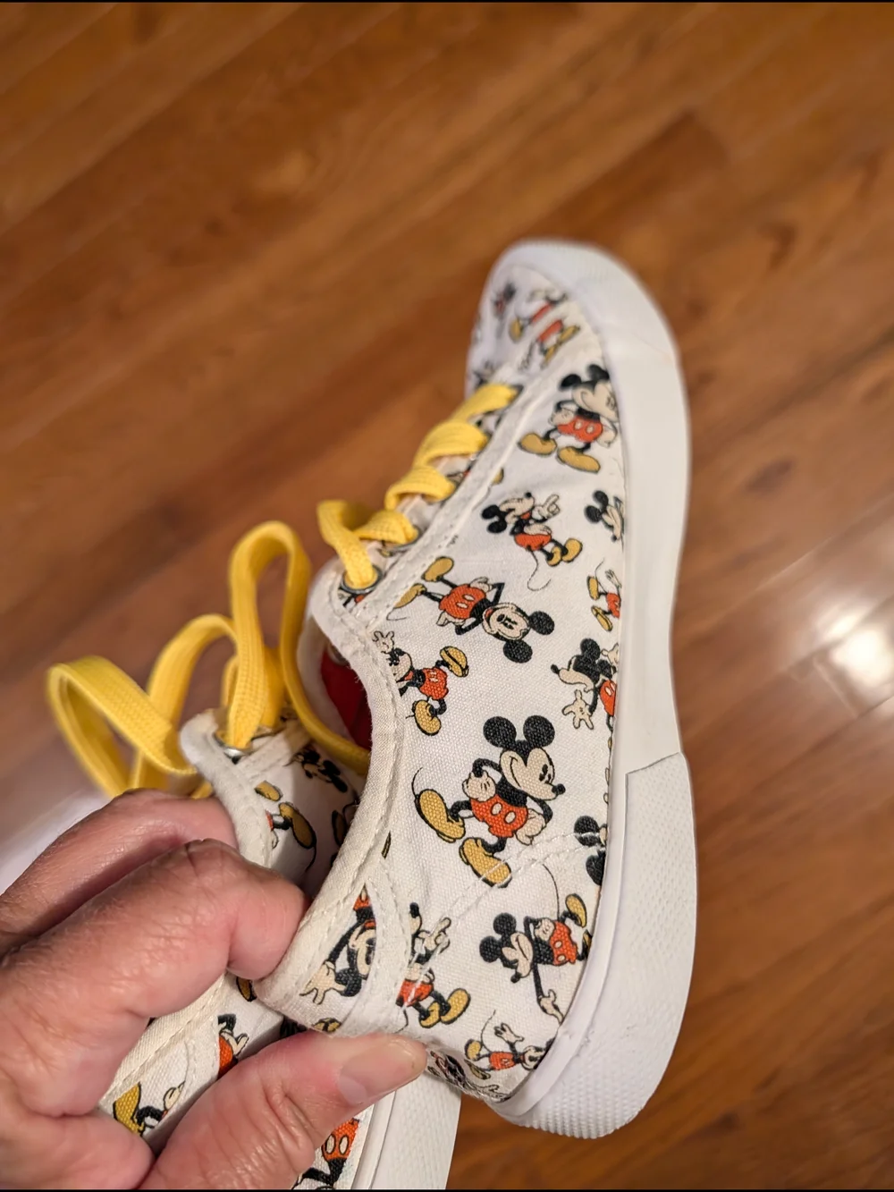 Disney playful mickey